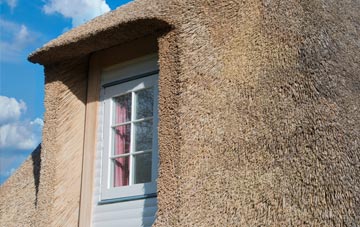 Clephanton thatch roof disadvantages